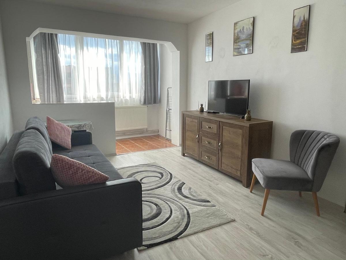 Bulevardul Mihai Viteazul Apartment *